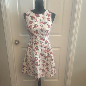 Size 4 New York and Company Cherry Dress
